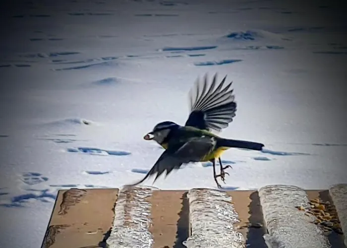 Lägenhet Boddenhof 45 - Auszeit Fuer 2 - Mit Infrarot-Sauna Stedar